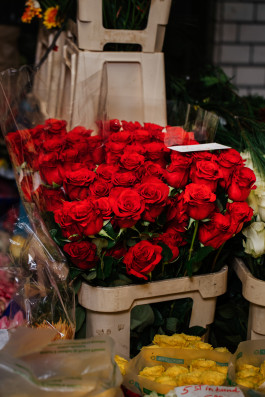 Portfolio – Miriam Klingl