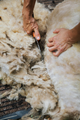 Portfolio – Miriam Klingl